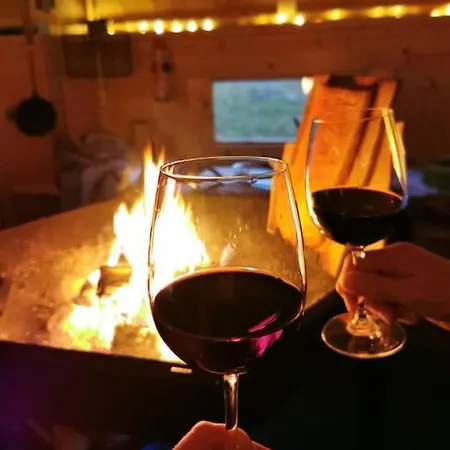 Havu In Pyhae/lapland * Pyhatunturi