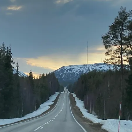 Havu In Pyhae/lapland