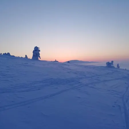Havu In Pyhae/lapland * Pyhätunturi
