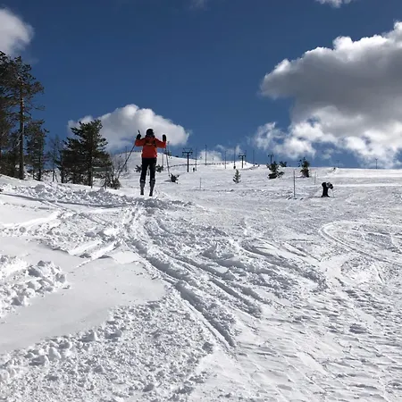 Havu In Pyhae/lapland Villa *