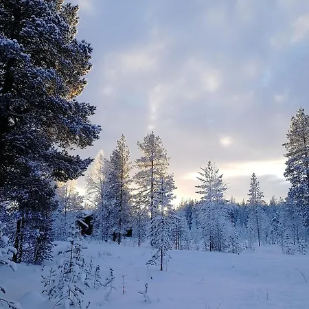 Havu In Pyhae/lapland * Pyhatunturi