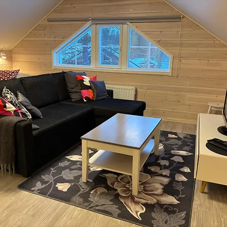 Huvilat Havu In Pyhä/lapland Pyhätunturi