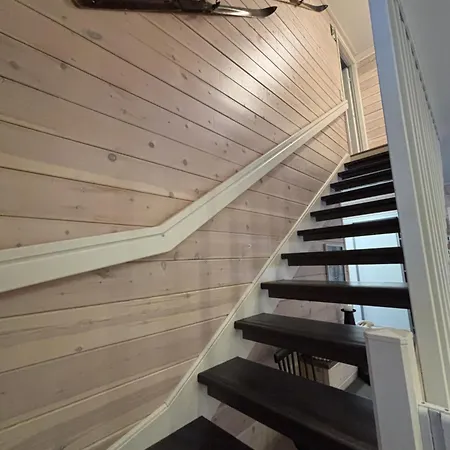 Havu In Pyhae/lapland Pyhatunturi